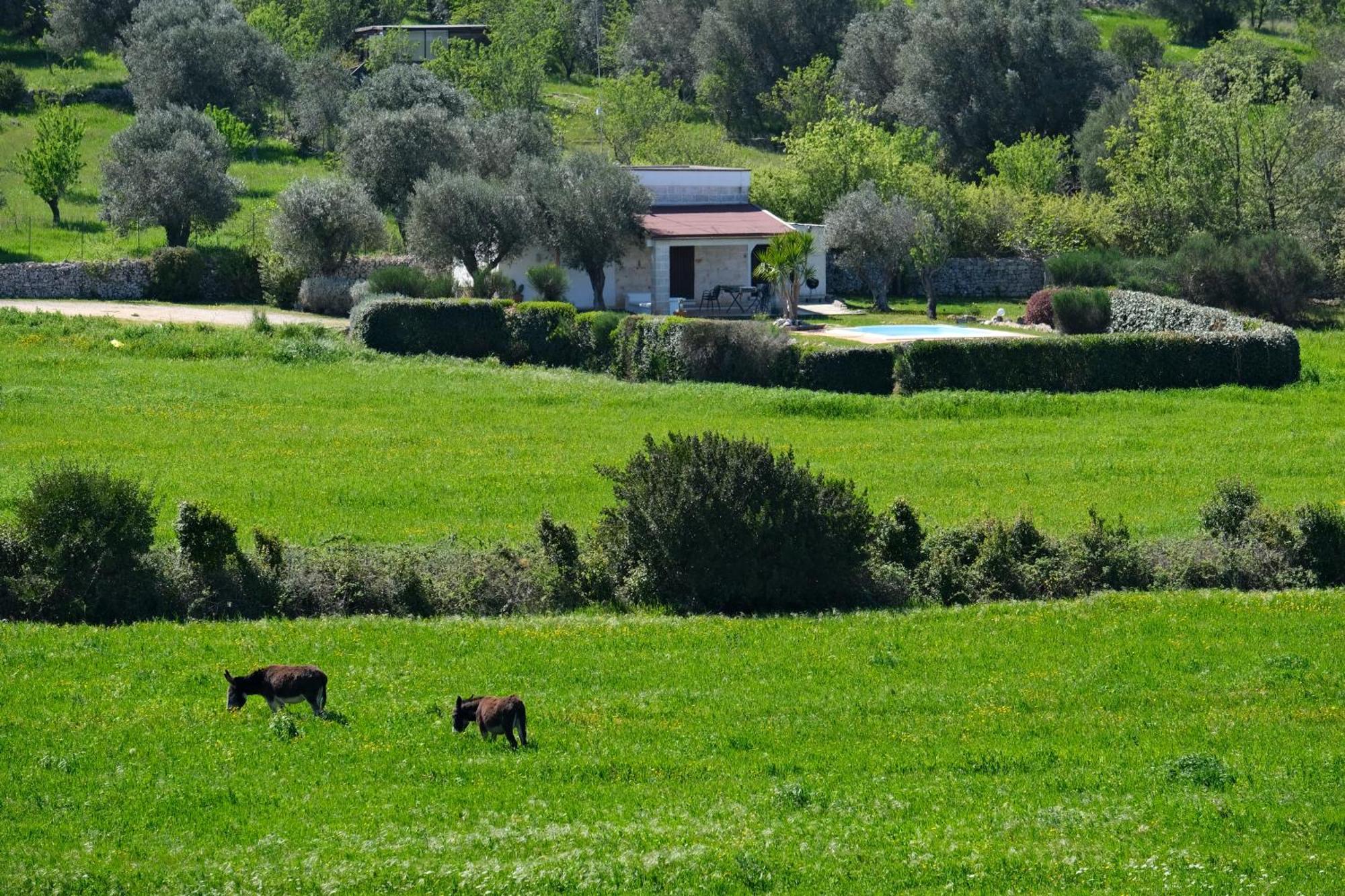 Terra Sessana Ville e Trullo con piscina privata Ostuni Esterno foto
